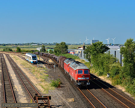 Top Link :