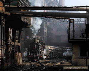 11-D-3377