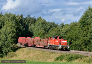 13-D-2834