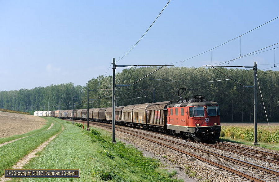 main photo