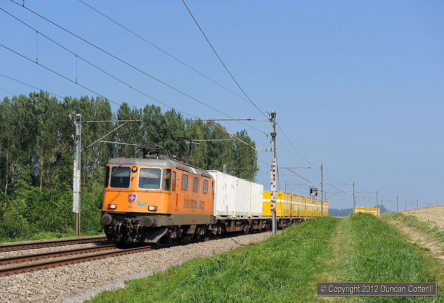 main photo