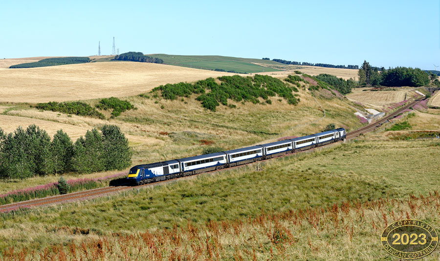 main photo