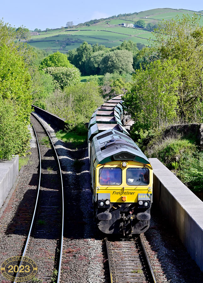 main photo
