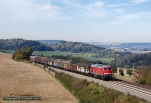 Of all the good locations on the Reichenbach - Hof line, this spot at Ziegelhauser, east of Ruppertsgrün, was my favourite. 232.384 worked its way east with the morning freight on 9 October 2010.