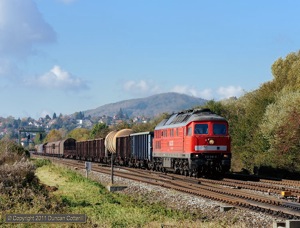 232.618 passed Hersbruck Ost on 45365, the 12:35 Nürnberg Rbf - Cheb freight at lunchtime on 21 October.