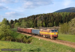 The 749s may have gone but 751s continue to work freights on the Jesenik line. 751.374 descended the bank between Ostruzna and Branna with the regular evening freight from Lipova Lazne to Hanusovice on 13 May 2011.