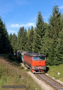 749.252's orange livery stood out well against the dark green forest as it drifted down to Stozec with Os8111/8110, the 09:17 stopper from Nove Udoli to Ceske Budejovice, on 11 August 2011.