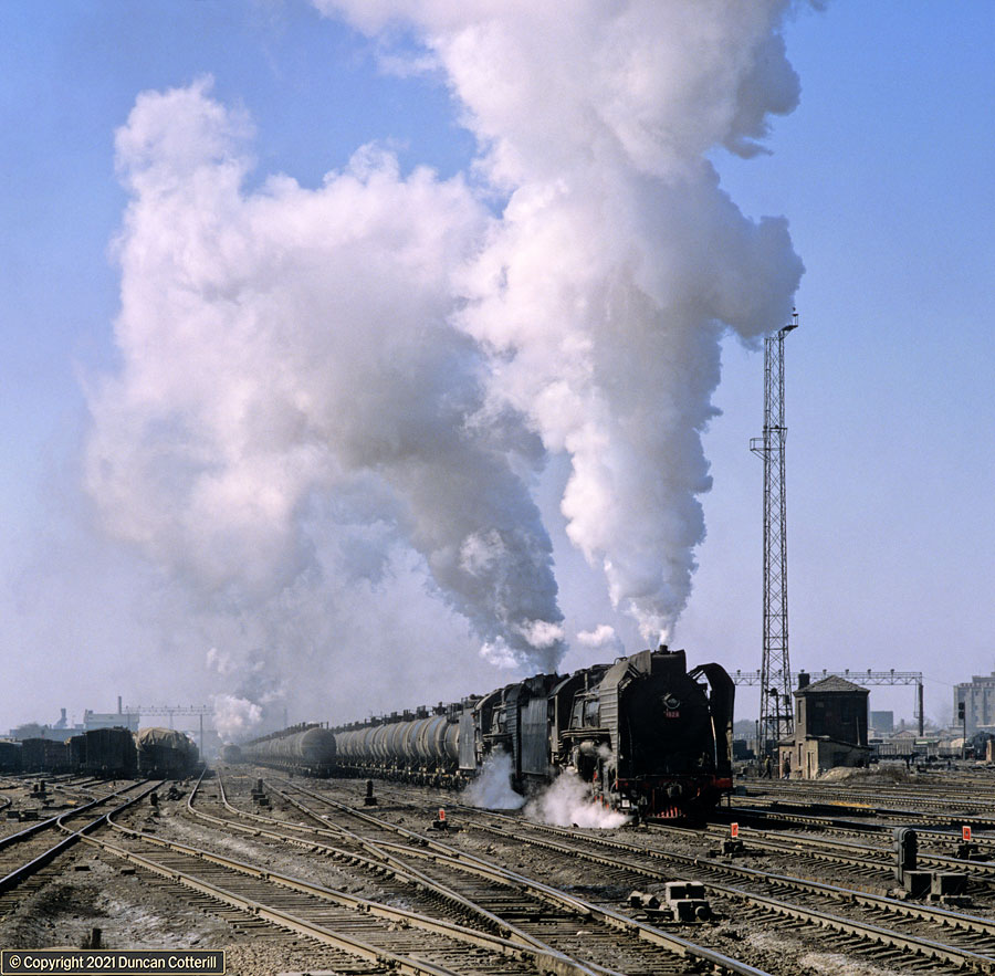 main photo