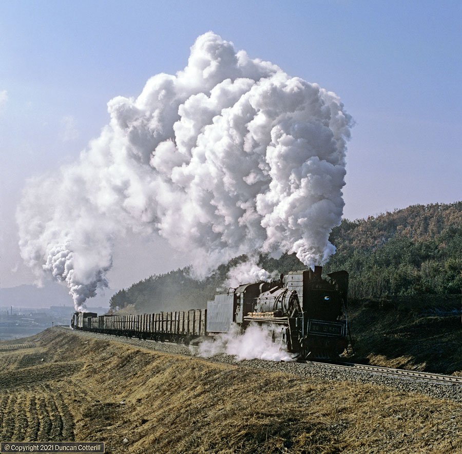 main photo