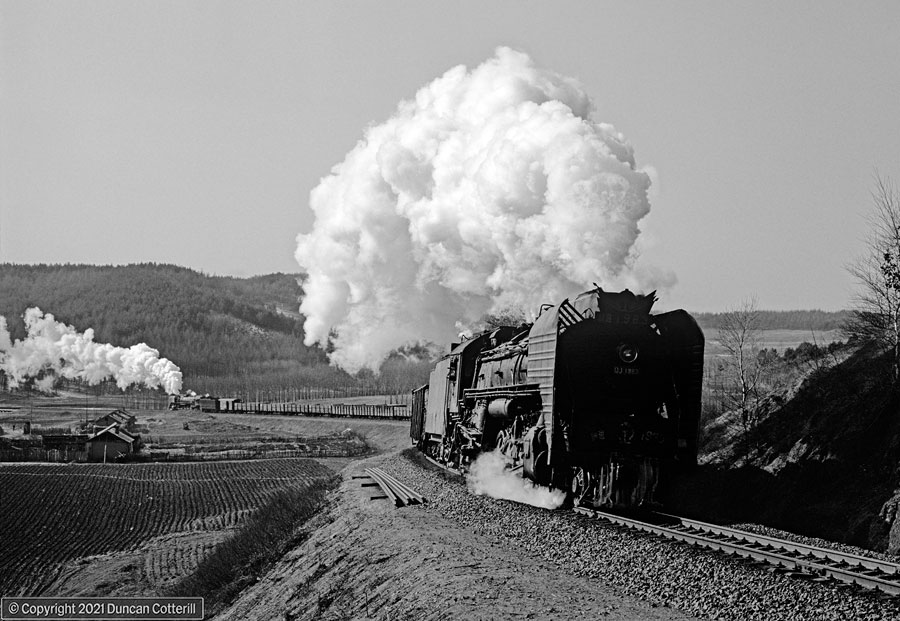 main photo