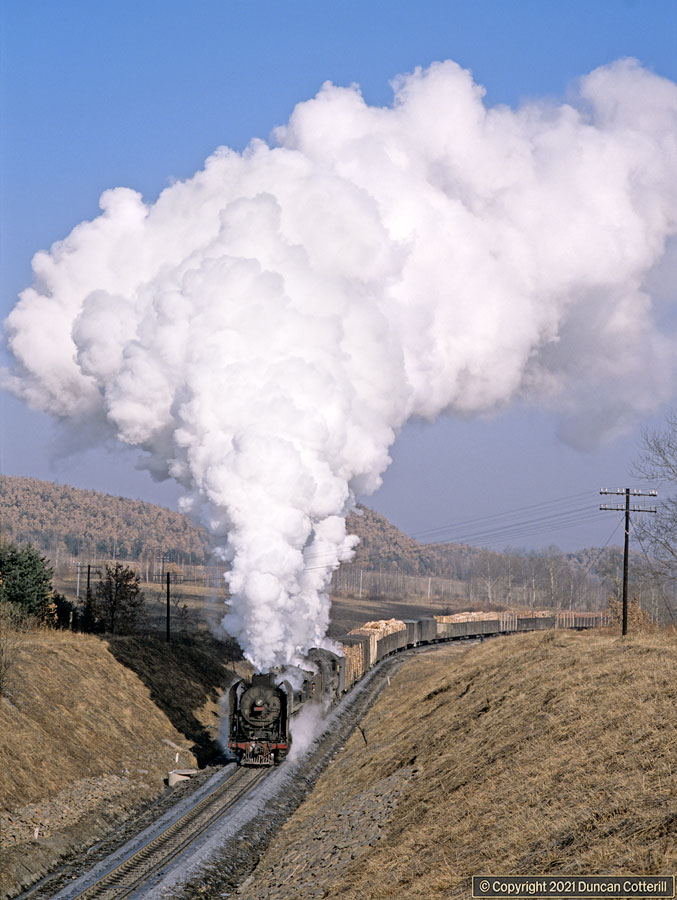 main photo