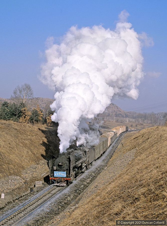 main photo