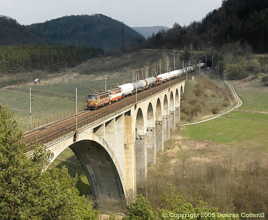 main photo