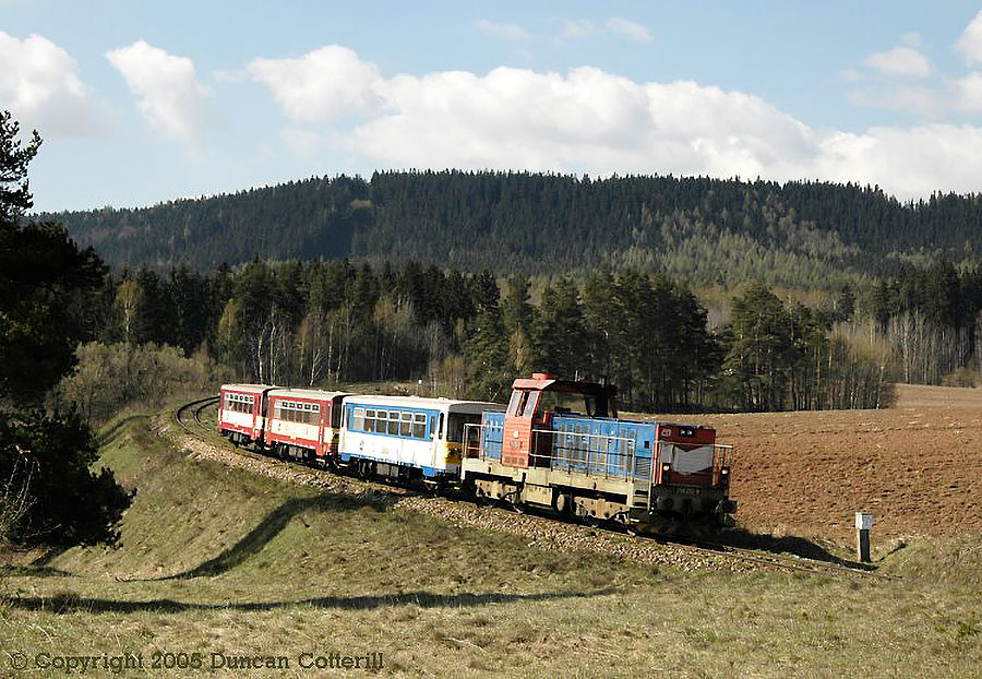 main photo