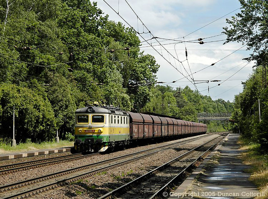 main photo