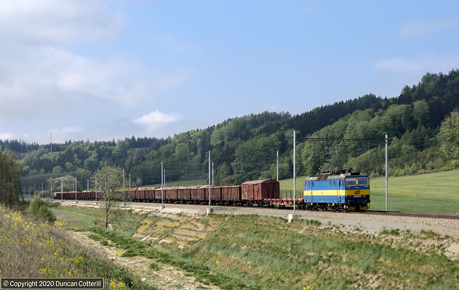 main photo