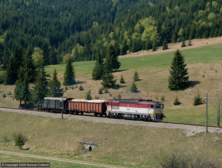 main photo