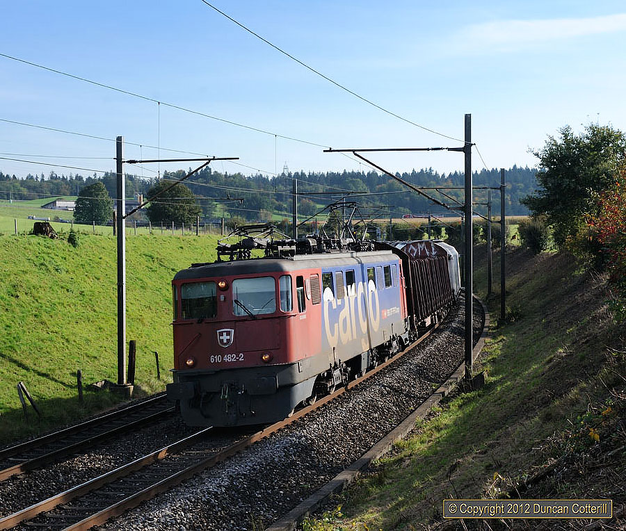 main photo