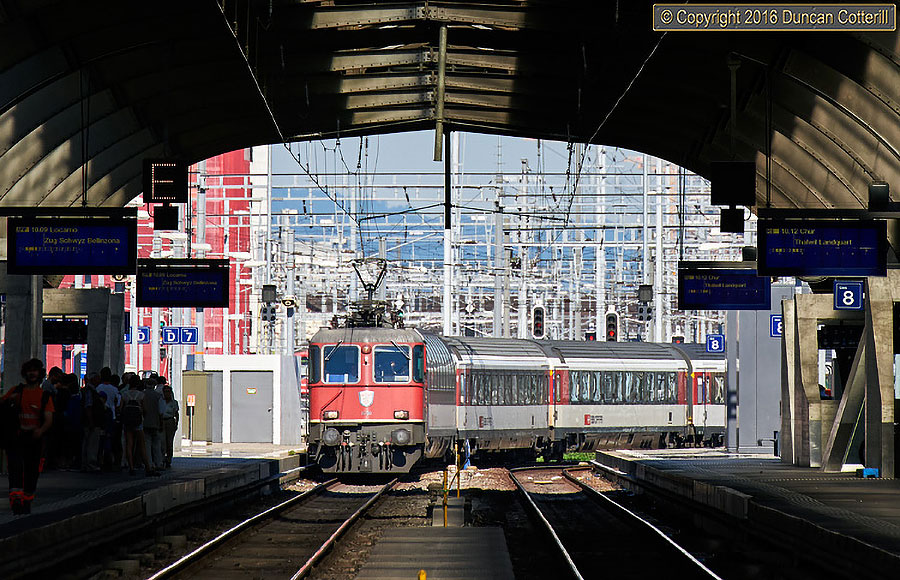 main photo