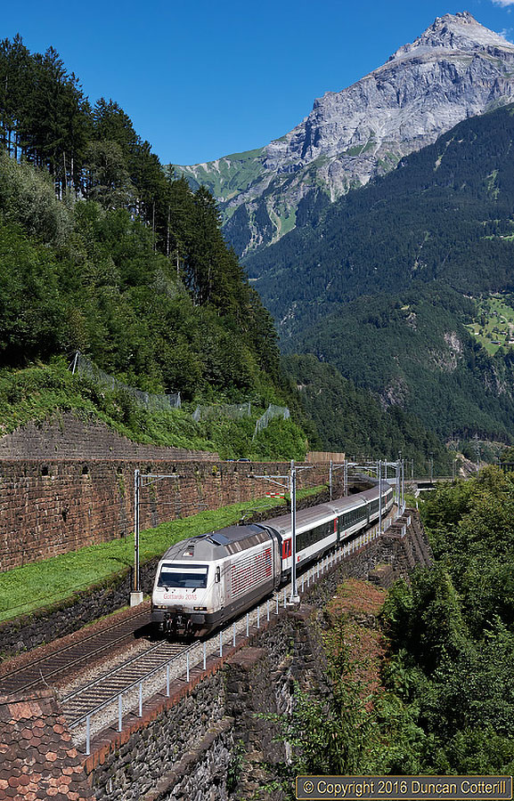 main photo