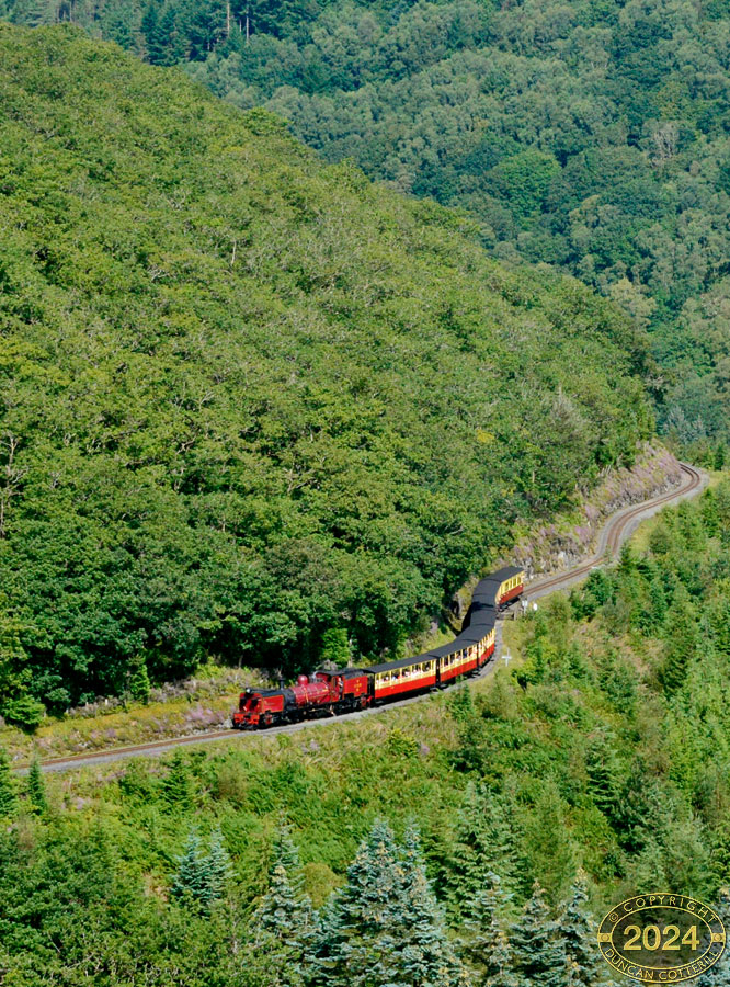 main photo