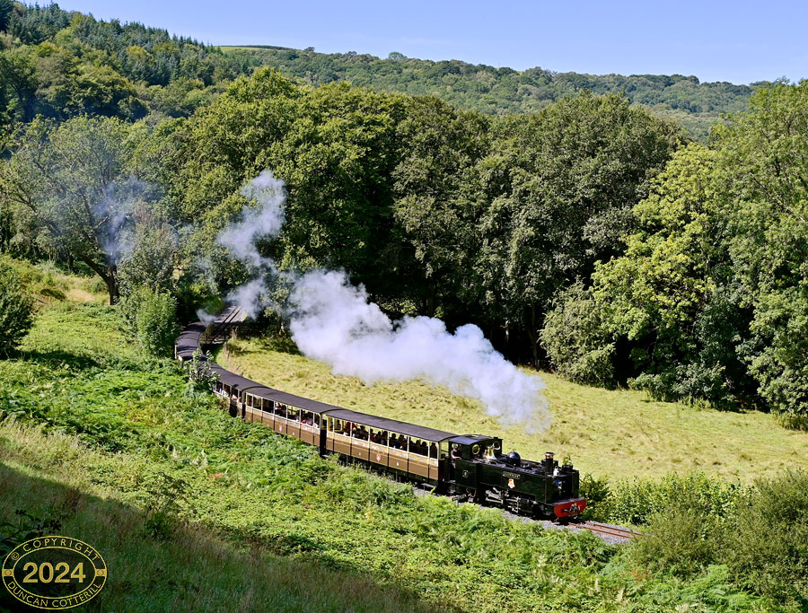 main photo