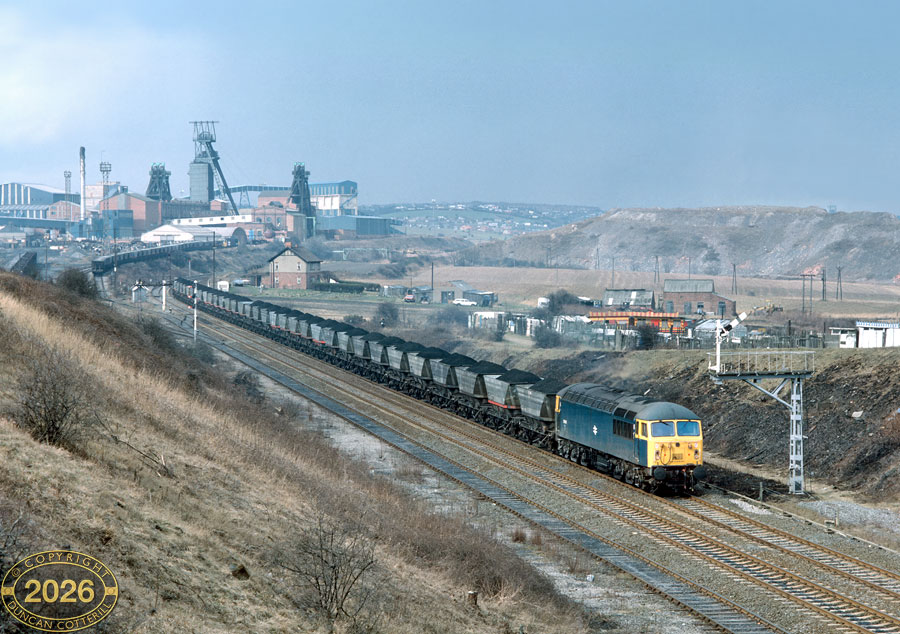 main photo